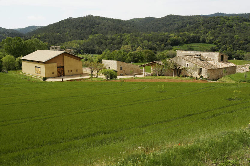 L'animal a l'esquena